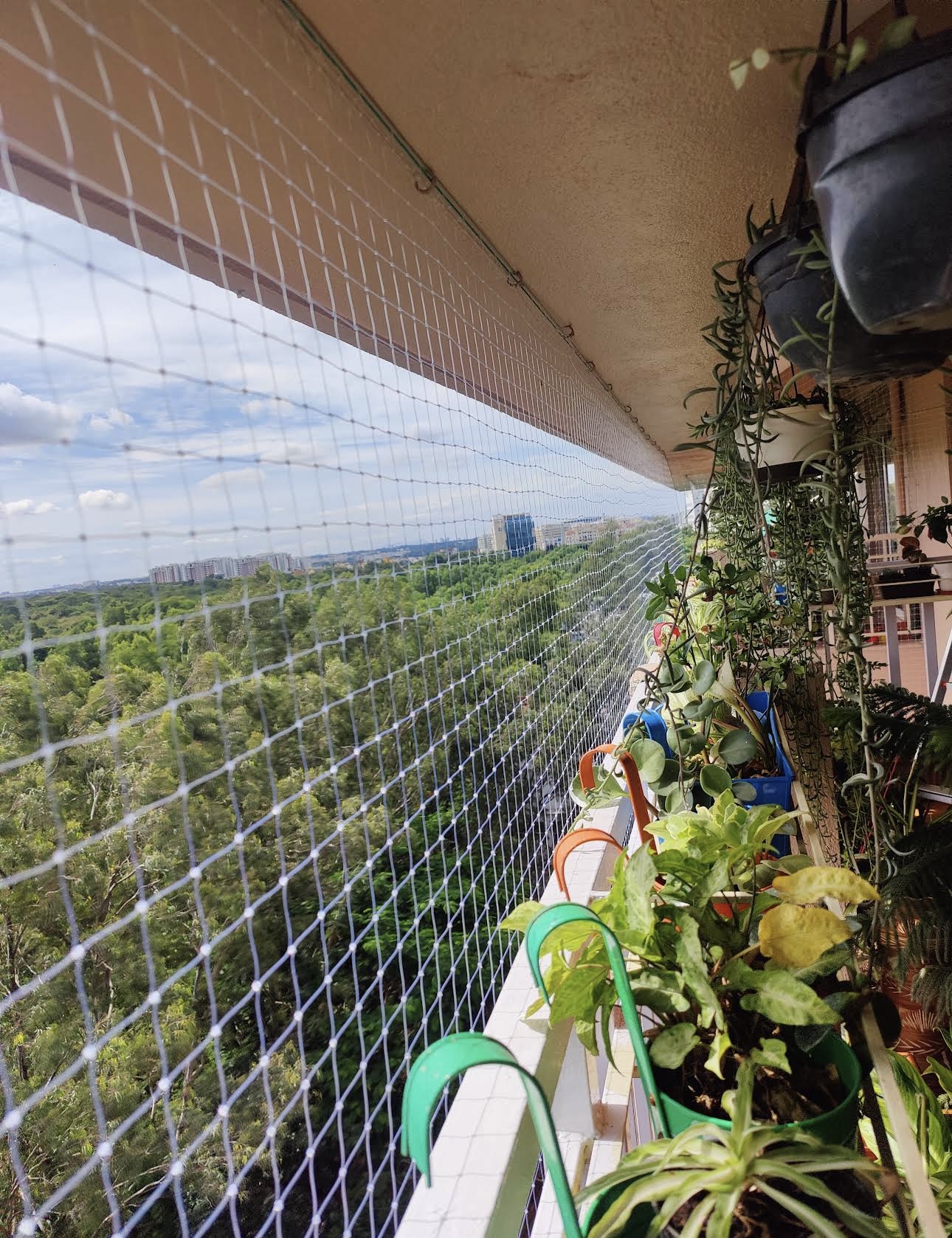 Pigeon protection net installed across a balcony